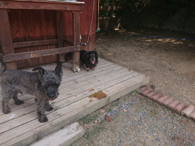 f:id:roukenhome-ann:20190817203121j:plain