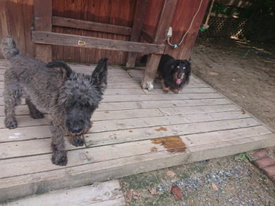 f:id:roukenhome-ann:20190817203130j:plain