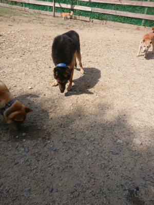 f:id:roukenhome-ann:20190817203159j:plain