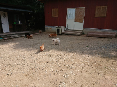 f:id:roukenhome-ann:20190817203221j:plain