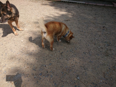 f:id:roukenhome-ann:20190817203229j:plain