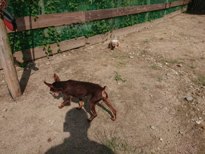 f:id:roukenhome-ann:20190817203253j:plain