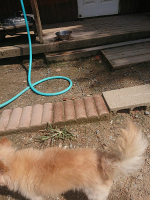 f:id:roukenhome-ann:20190817203351j:plain