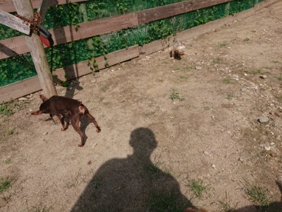 f:id:roukenhome-ann:20190817203359j:plain