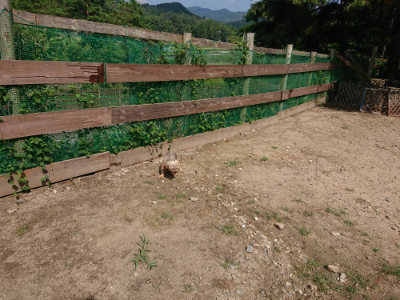 f:id:roukenhome-ann:20190817203405j:plain