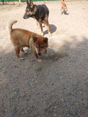 f:id:roukenhome-ann:20190817203417j:plain