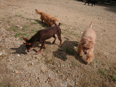 f:id:roukenhome-ann:20190817203437j:plain