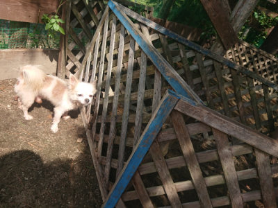 f:id:roukenhome-ann:20190817203816j:plain