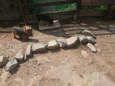 f:id:roukenhome-ann:20190817203826j:plain
