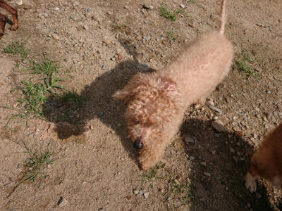 f:id:roukenhome-ann:20190817203840j:plain