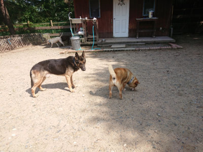 f:id:roukenhome-ann:20190817203846j:plain