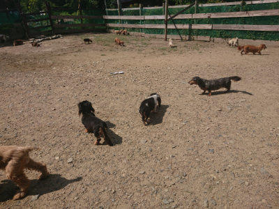 f:id:roukenhome-ann:20190817203853j:plain