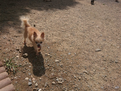 f:id:roukenhome-ann:20190817203902j:plain
