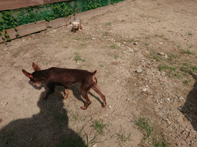 f:id:roukenhome-ann:20190817203908j:plain