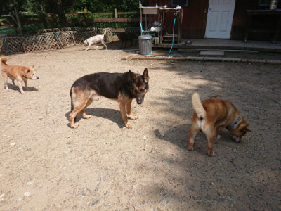 f:id:roukenhome-ann:20190817203920j:plain