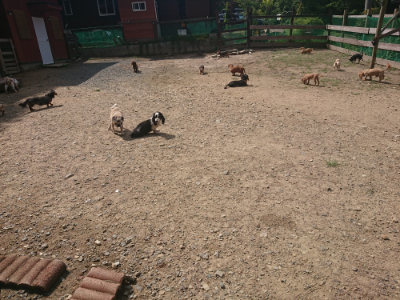 f:id:roukenhome-ann:20190817204016j:plain
