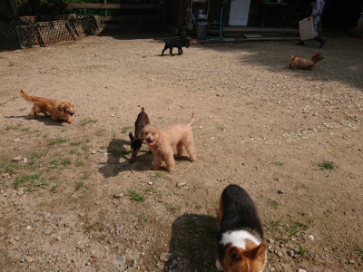 f:id:roukenhome-ann:20190817204033j:plain