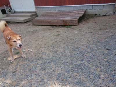 f:id:roukenhome-ann:20190817204044j:plain