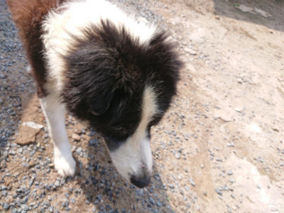 f:id:roukenhome-ann:20190817204242j:plain