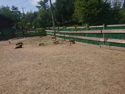 f:id:roukenhome-ann:20190817204342j:plain