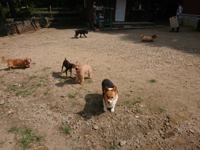 f:id:roukenhome-ann:20190817204347j:plain