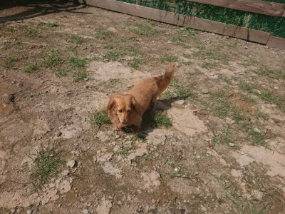 f:id:roukenhome-ann:20190817204421j:plain