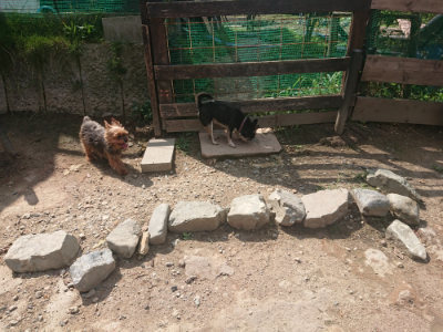f:id:roukenhome-ann:20190817204429j:plain