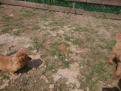 f:id:roukenhome-ann:20190817204435j:plain