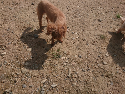 f:id:roukenhome-ann:20190817210937j:plain