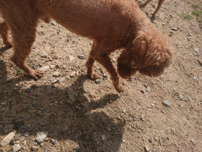 f:id:roukenhome-ann:20190817210954j:plain