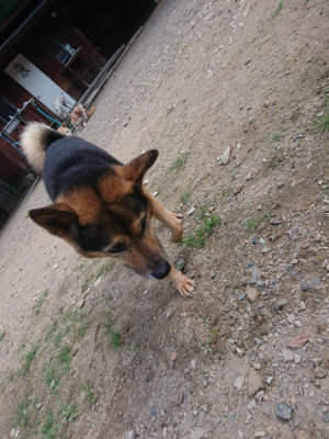 f:id:roukenhome-ann:20190817211008j:plain