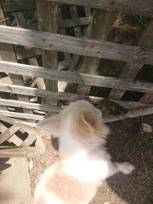 f:id:roukenhome-ann:20190817211026j:plain