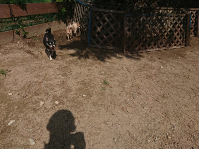 f:id:roukenhome-ann:20190817211123j:plain