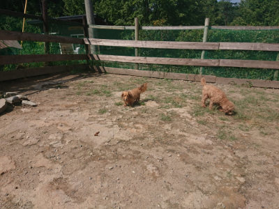 f:id:roukenhome-ann:20190817211132j:plain