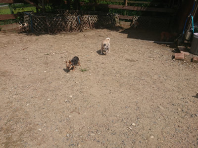 f:id:roukenhome-ann:20190817211145j:plain