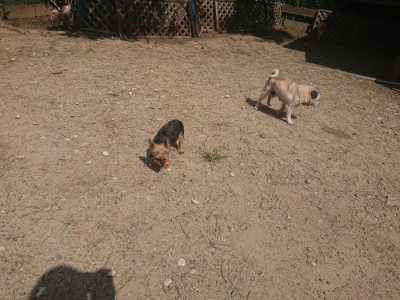 f:id:roukenhome-ann:20190817211151j:plain