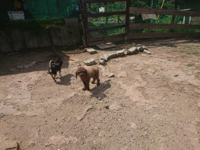 f:id:roukenhome-ann:20190817211207j:plain