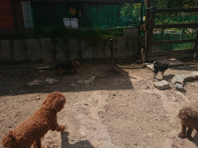 f:id:roukenhome-ann:20190817211216j:plain