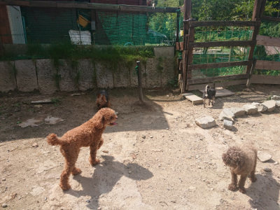 f:id:roukenhome-ann:20190817211234j:plain