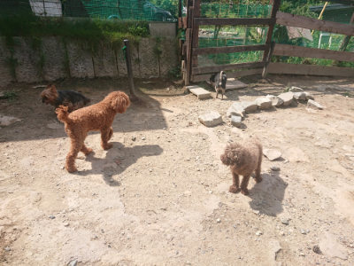 f:id:roukenhome-ann:20190817211239j:plain