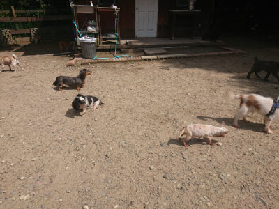 f:id:roukenhome-ann:20190817211306j:plain
