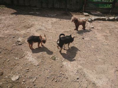 f:id:roukenhome-ann:20190817211312j:plain