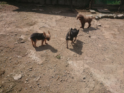 f:id:roukenhome-ann:20190817211319j:plain