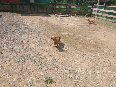 f:id:roukenhome-ann:20190817211328j:plain