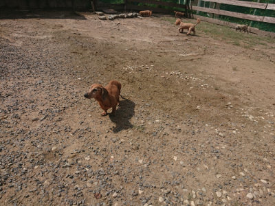 f:id:roukenhome-ann:20190817211335j:plain
