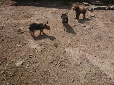 f:id:roukenhome-ann:20190817211344j:plain