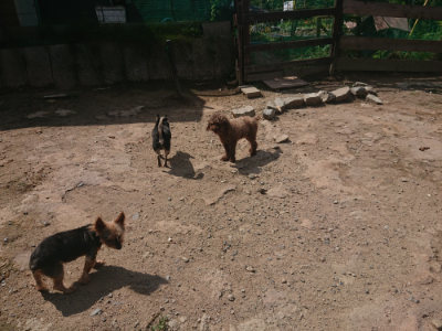 f:id:roukenhome-ann:20190817211350j:plain