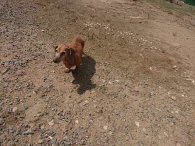 f:id:roukenhome-ann:20190817211357j:plain
