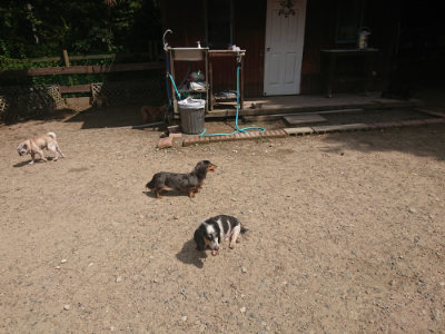 f:id:roukenhome-ann:20190817211402j:plain