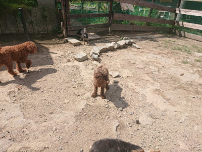 f:id:roukenhome-ann:20190817211407j:plain